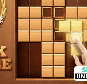 wood block puzzle cube